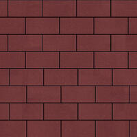  Тротуарная плитка Steinrus Прямоугольник Лайн 200х100х60 мм Красный Бассировка: внешний вид